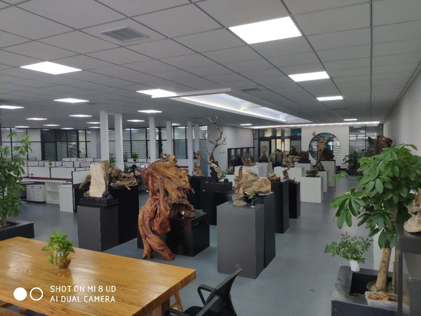 Hebei Yunjing Biotechnology Co., Ltd. wood carving ornaments