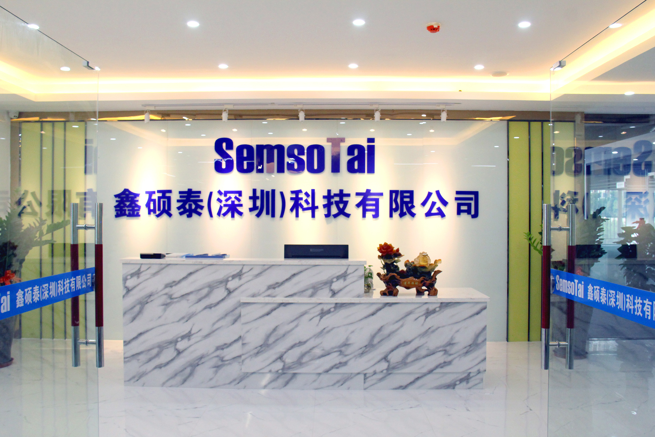 Semsotai (Shenzhen) Technology Co., Ltd. DDR4 RAM