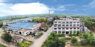 Zhanjiang Bilihua Mould Pressing Wooden Products Co., Ltd. factory image 1