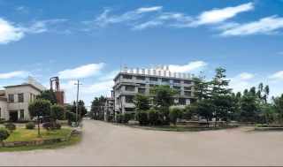 Zhanjiang Bilihua Mould Pressing Wooden Products Co., Ltd. factory image 2