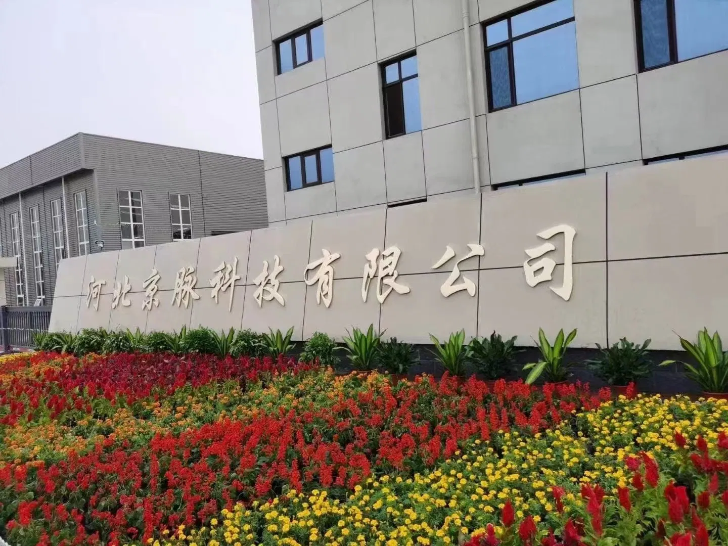 Hebei Jingmai Technology Co., Ltd. New Energy Automobile Coolant Compound Agent
