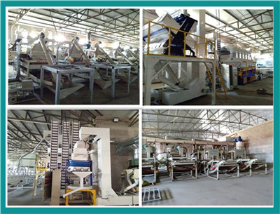 Inner Mongolia Chengtai Food Co., Ltd. factory image 5