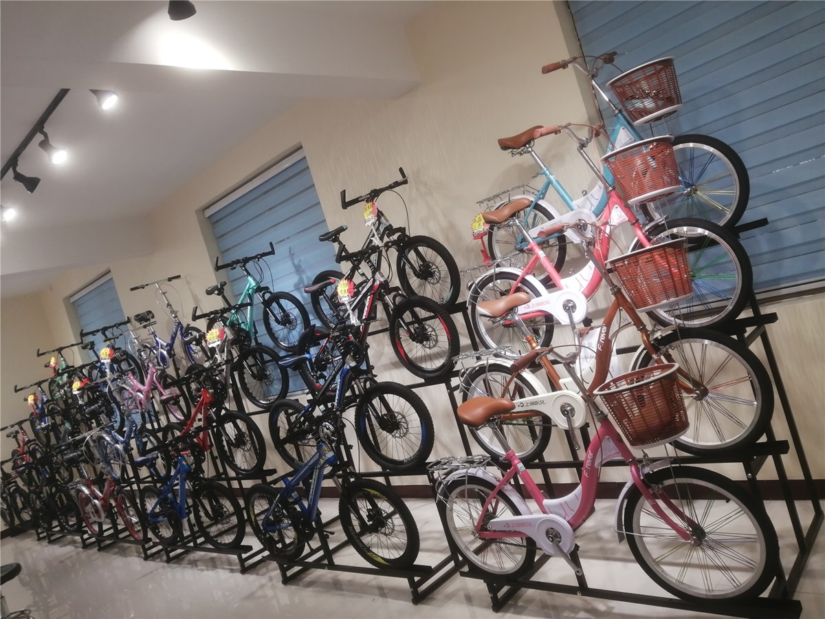 Hebei Laiv Import & Export Co., Ltd. Mountain Bikes