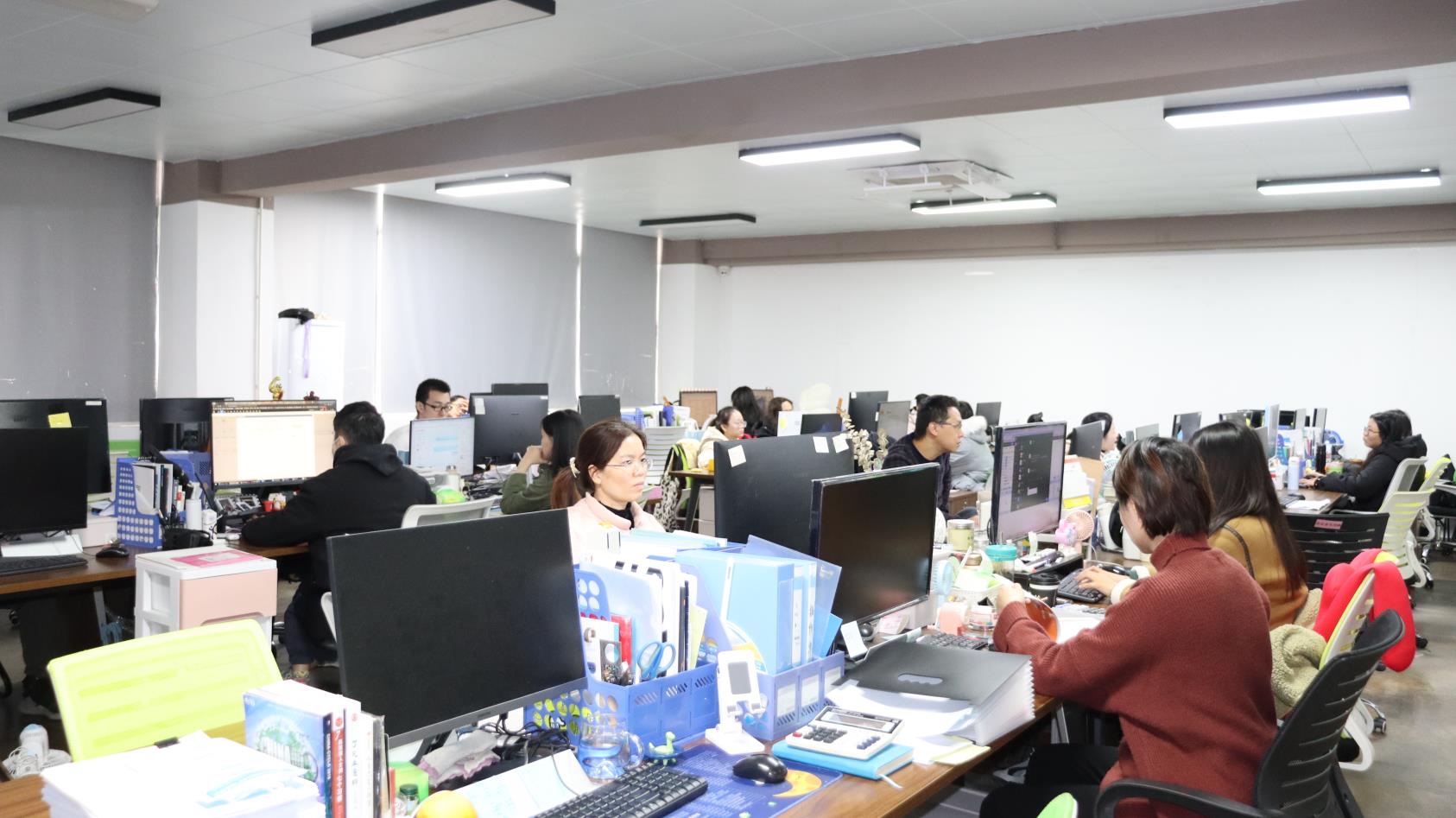 Dongguan Lvsheng Vehicle Co., Ltd. Electric Bike