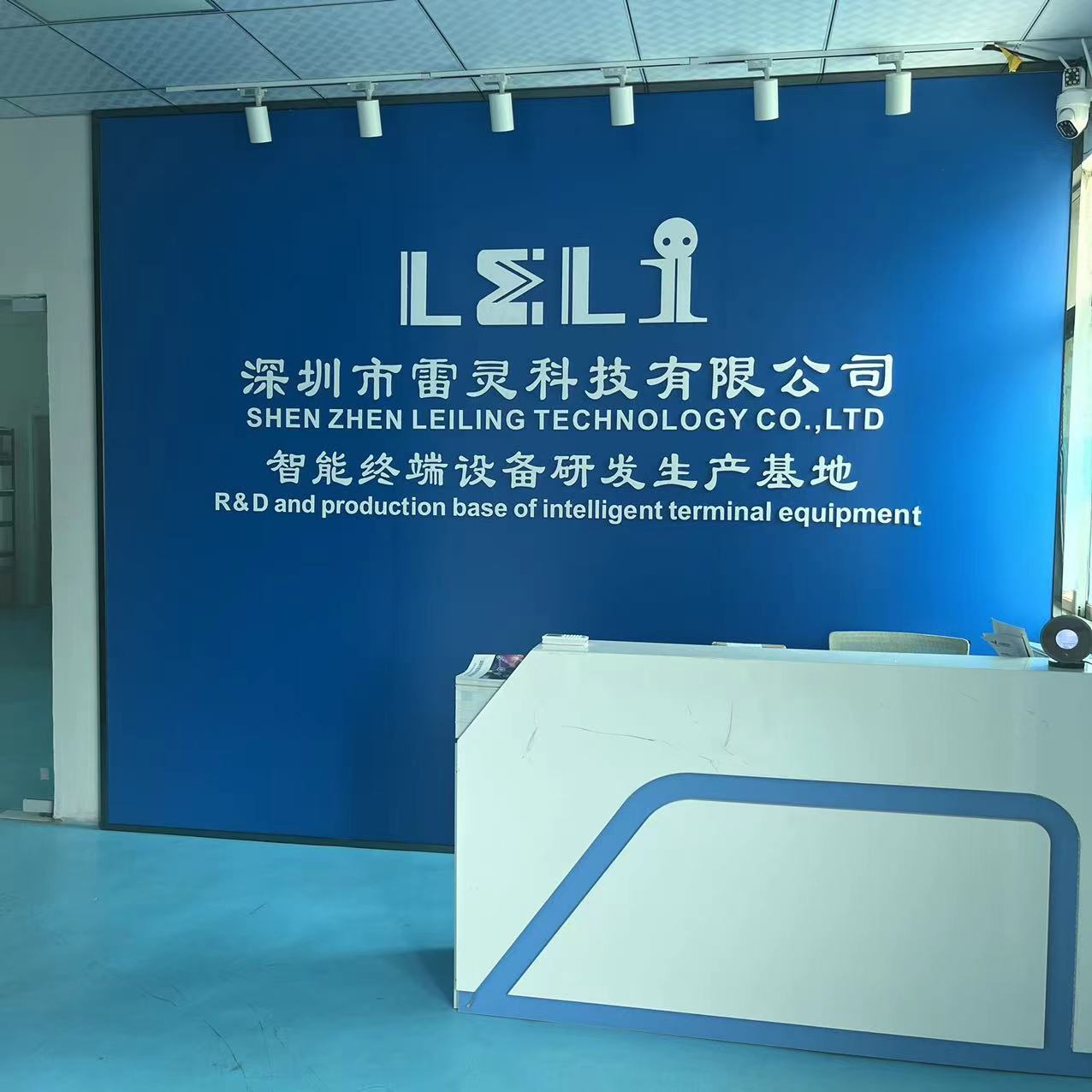 Shenzhen Leiling Technology Co., Ltd. Solar Inverter