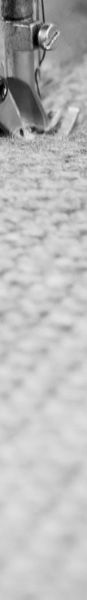 d59uu8d621jc73ei8mn0.jpg