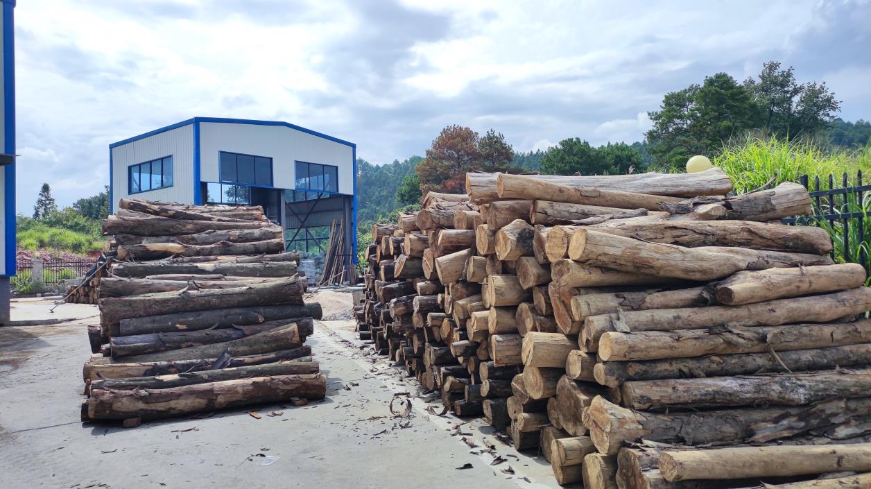 Jingzhou Jinxing Pencils Co., Ltd. Pencils