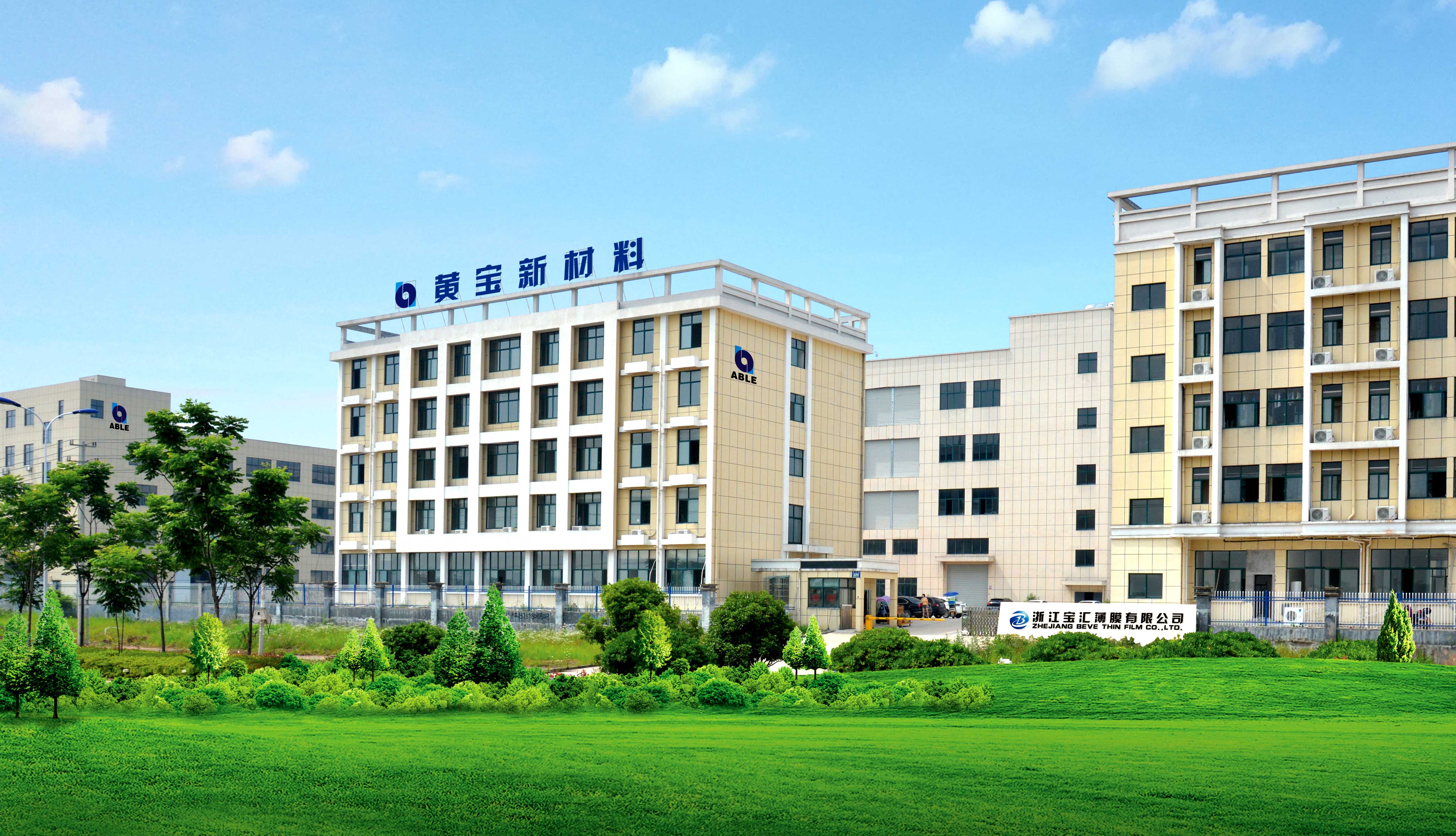 Zhejiang Able New Material Co., Ltd. Micro-Pattern Embossed PP film