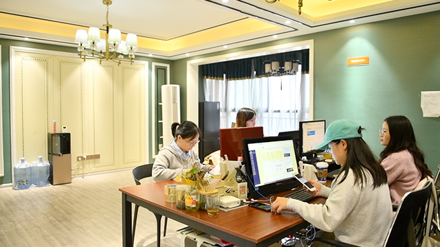 Changsha Celion Cultural and Creative Co., Ltd. Dreamcatchers
