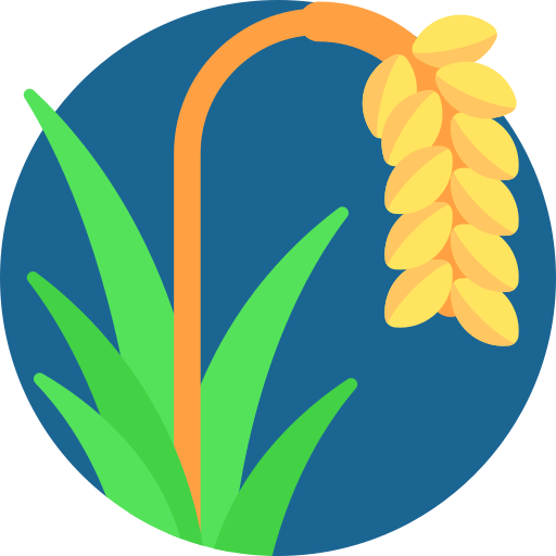 Daulat Group Cereals