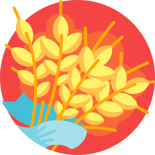Daulat Group Basmati Rice