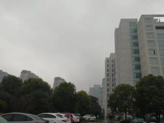d59v23l621jc73eiam4g.webp