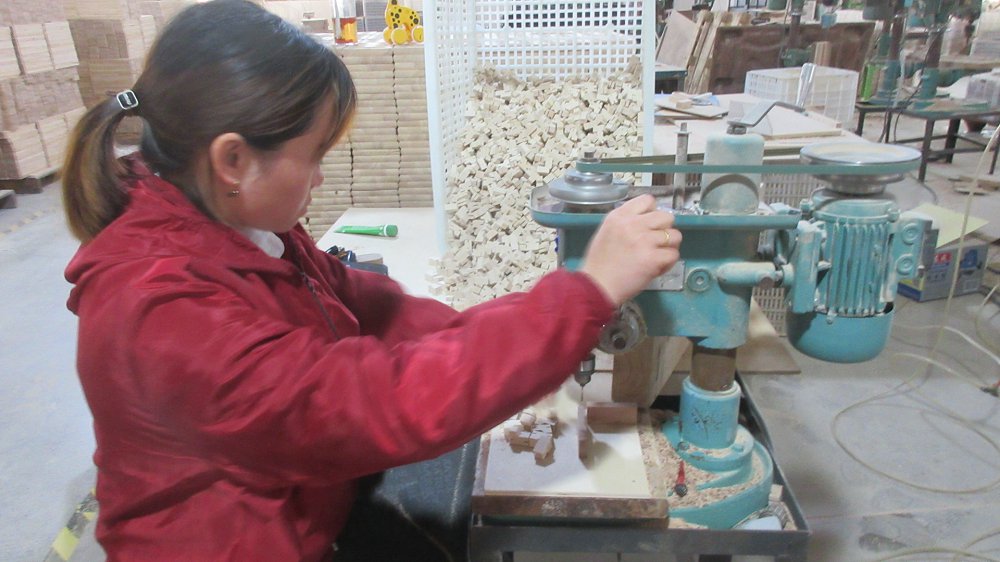 Zhejiang Longfeng Crafts Co., Ltd. Wooden Puzzles