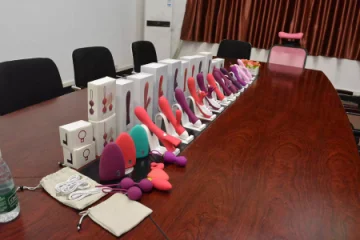 Dongguan Xibei Technology Co., Ltd. Vibrators