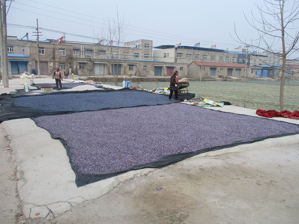 Donghai Jinuo Crystal Co., Ltd. Crystal Sphere
