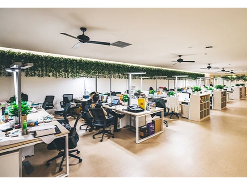 Jianou Jinxuan Bamboo Industry Co., Ltd. factory image 5