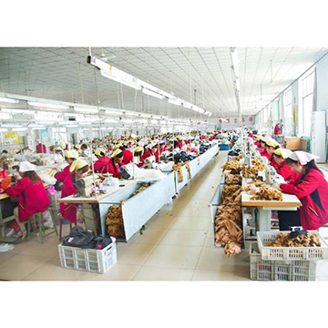 Qingdao Renhui Sewing Products Co., Ltd. Plush Toys