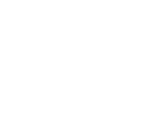 F. RADSPIELER & COMP. NCHF. logo