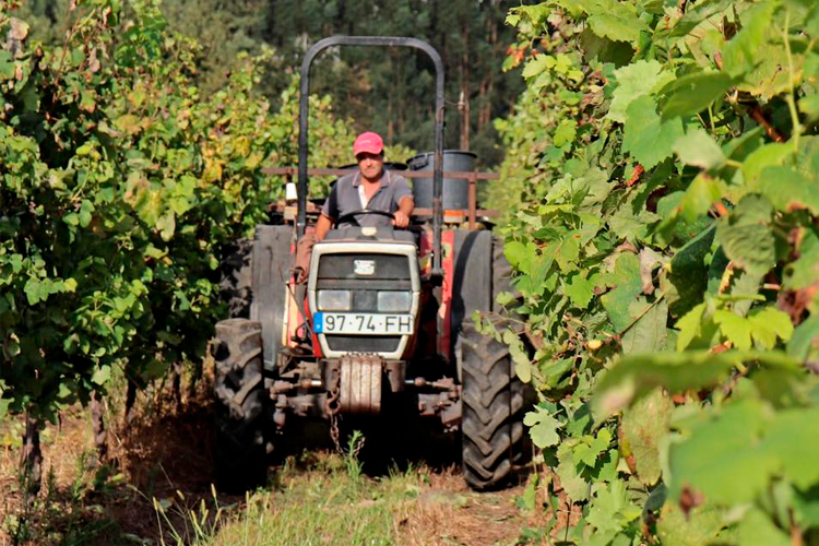 Sociedade Agrícola Casa do Cerdeiro, Lda. Premium Wines