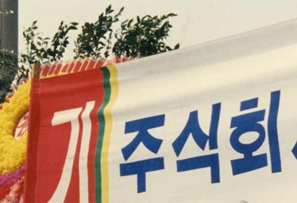 d59veo3285rs73akk53g.jpg