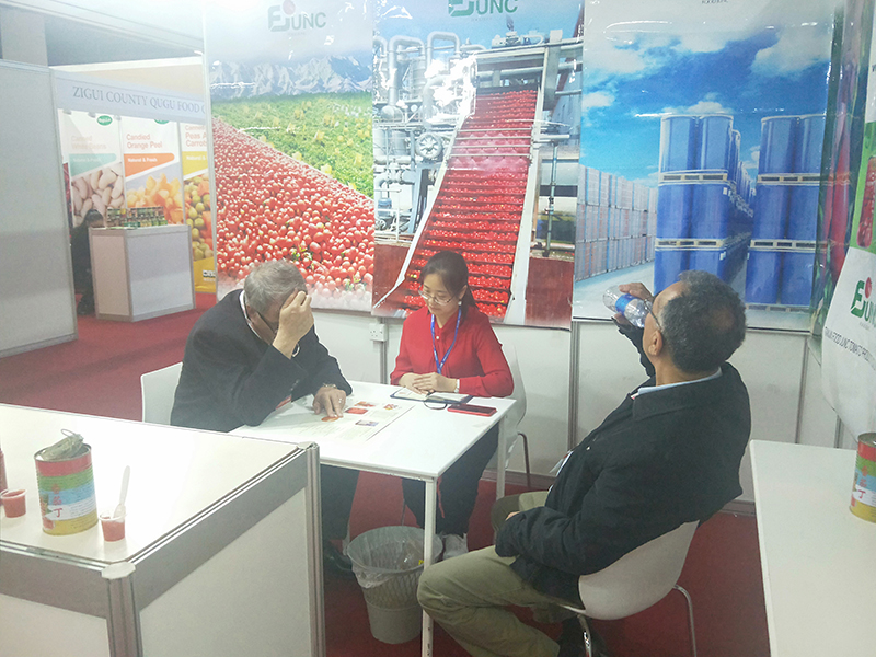 Tianjin Food Junc Tomato Products Co., Ltd. Diced Tomato