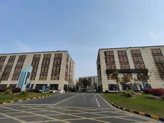 d59vfkt621jc73eigpeg.webp
