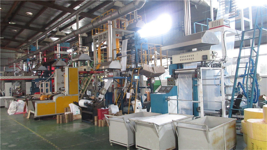 Anhui Zhendi International Trade Co., Ltd. Paper Bag