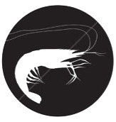 d59vh3cs8i3c73bjkokg.png