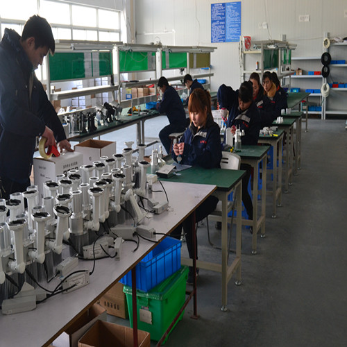 Hangzhou Raye Import and Export Co., Ltd. Solar garden lights