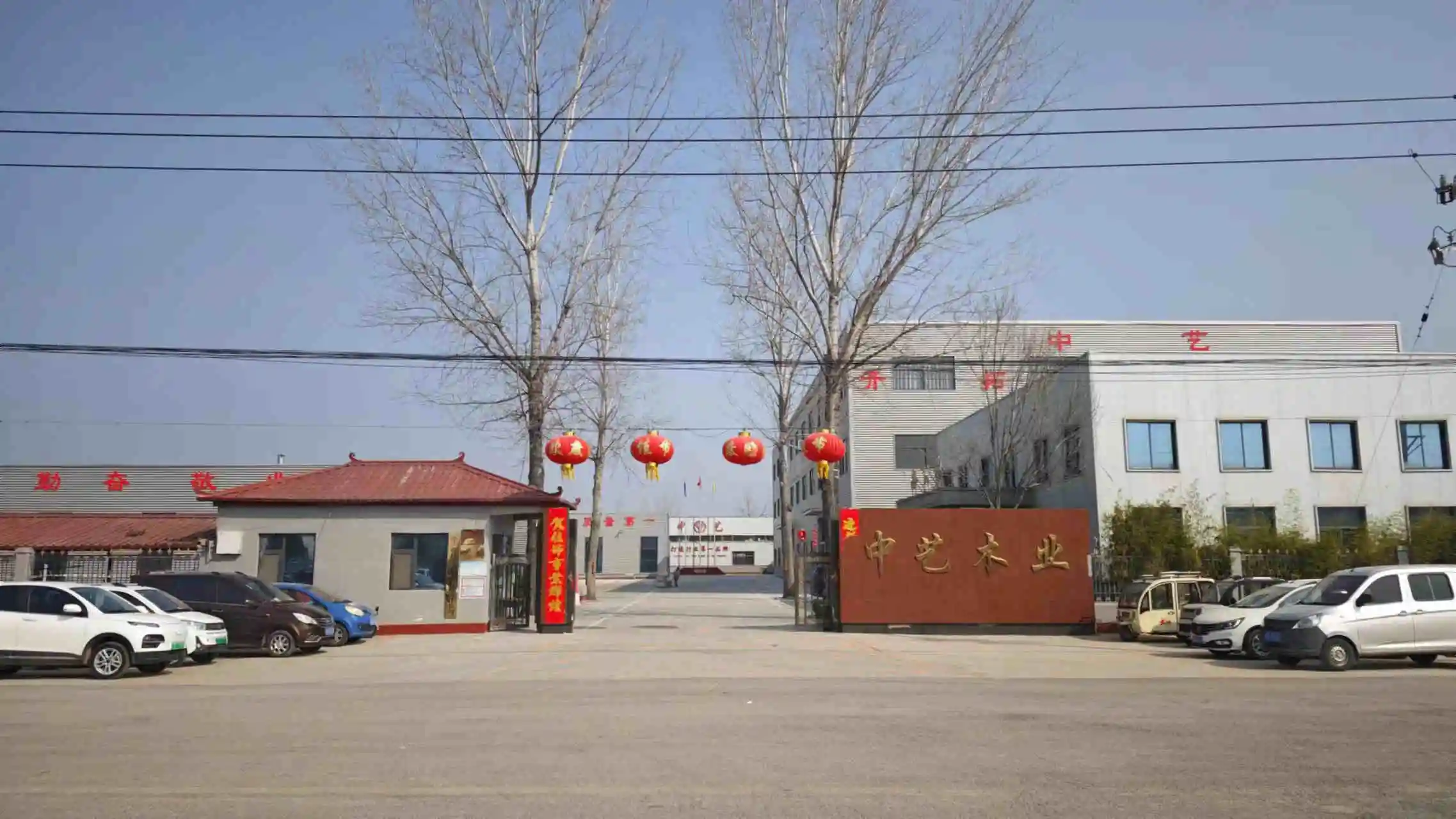 Caoxian Zhongyi Wooden Co., Ltd. Wooden Tray