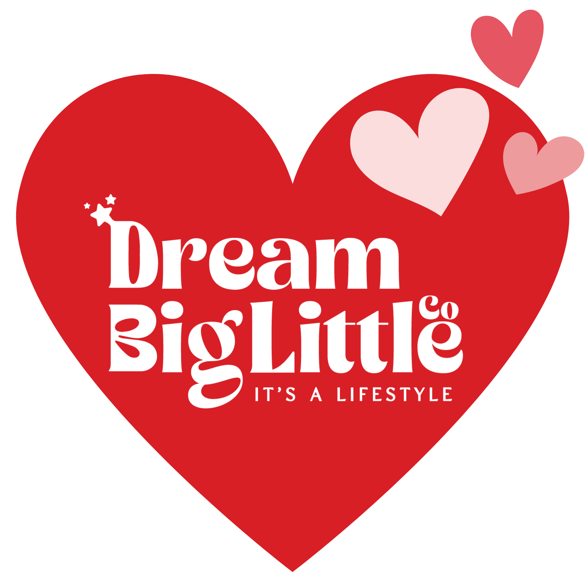 DREAM BIG LITTLE CO logo