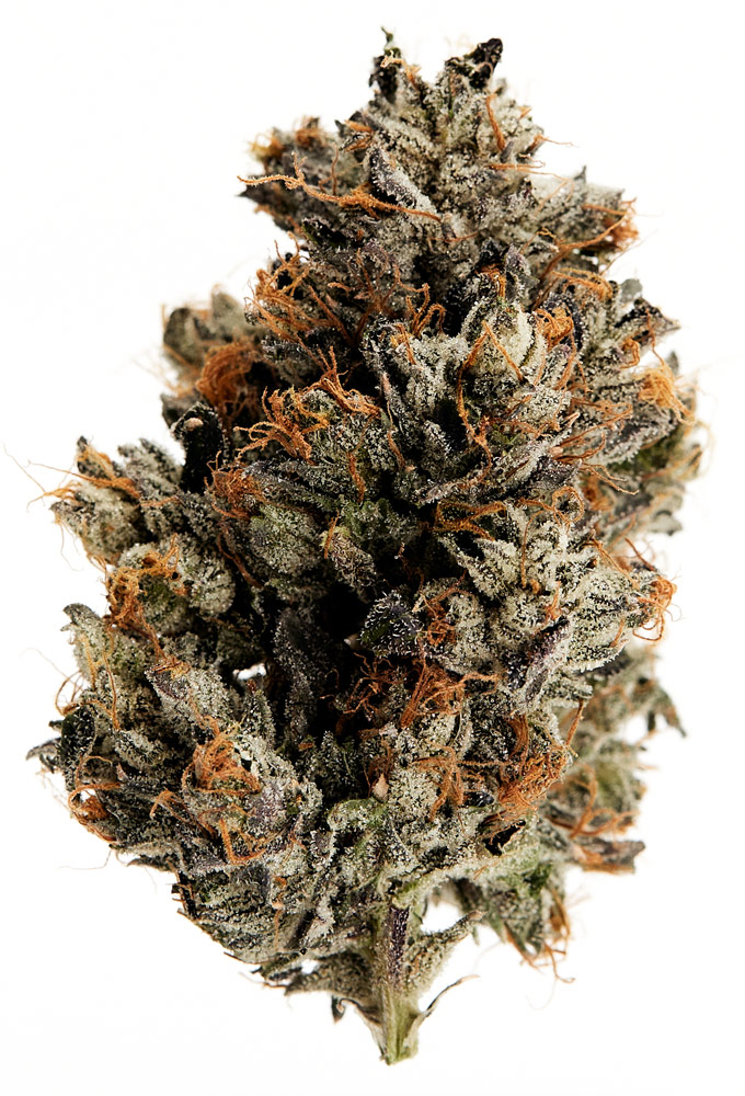 Kush Mountain Craft Cannabis Pink Mountain