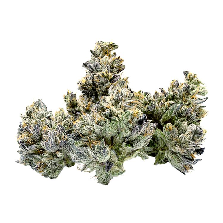 Fort 20 Farms Dried Flower
