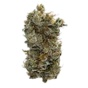Headstone Cannabis Corp Lamb of God