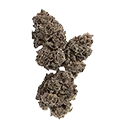 Headstone Cannabis Corp Grandaddy Gelato