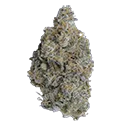 Werewolf OG