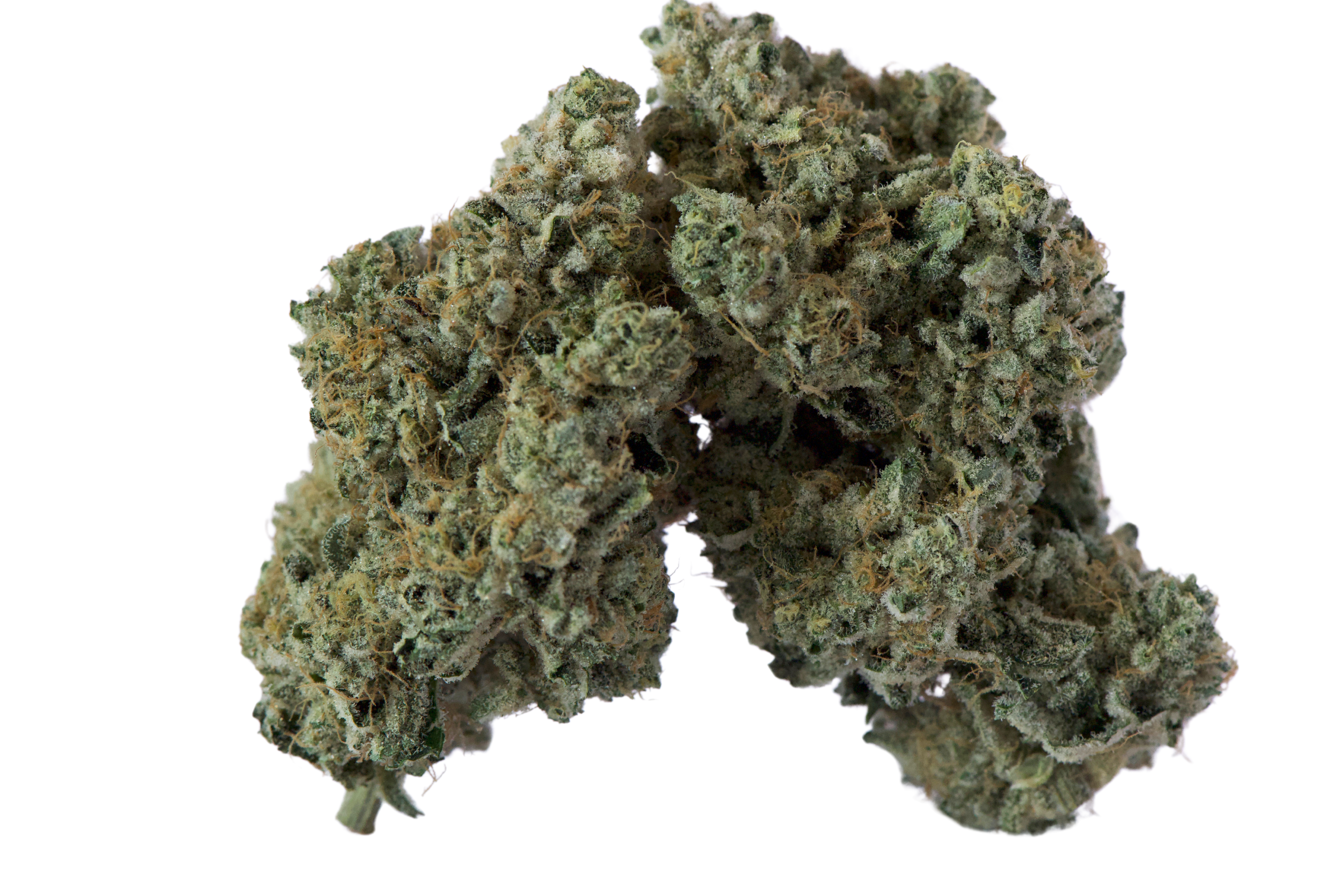 Island Genetics Swamp Water Fumez Flower