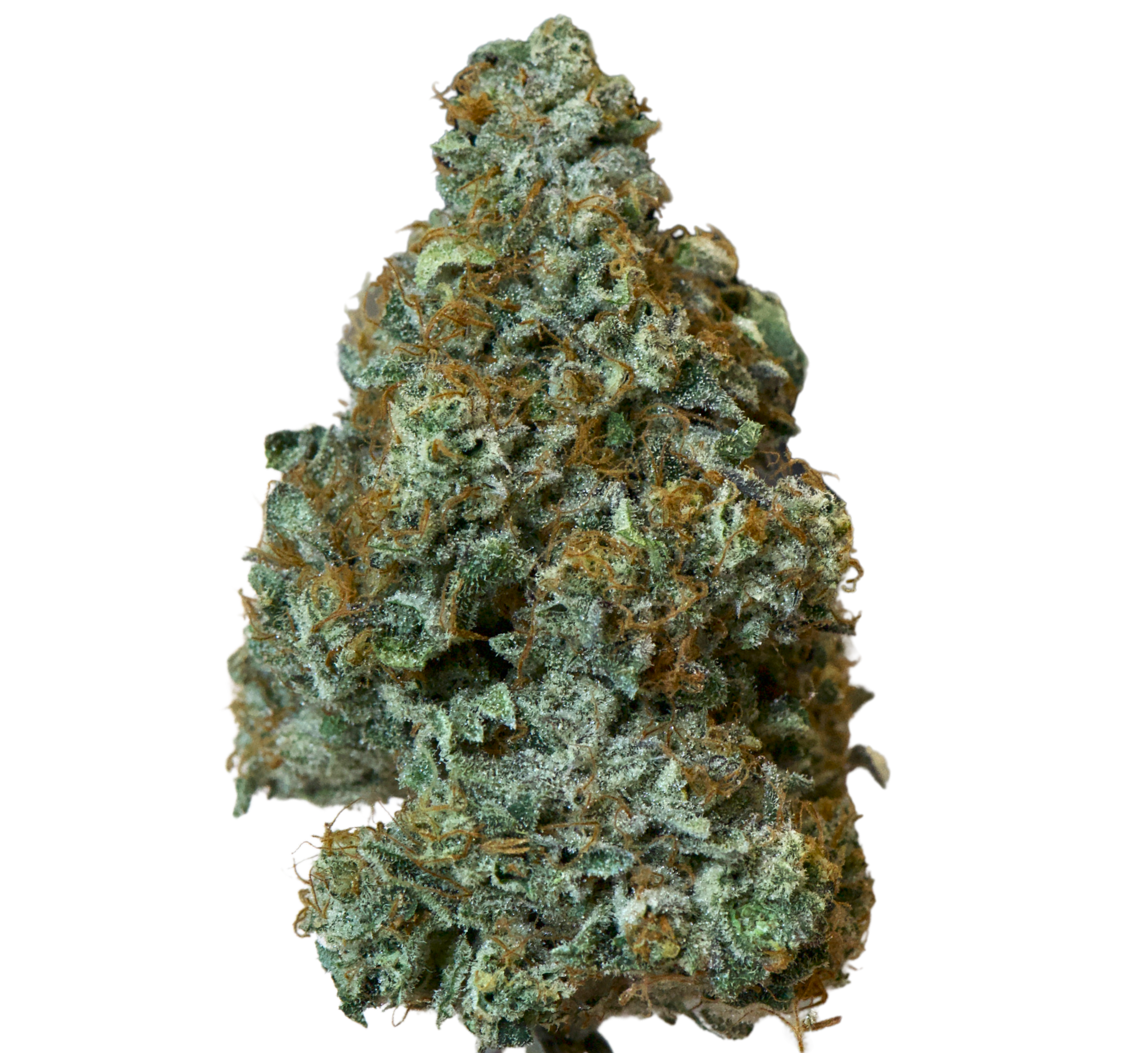 Island Genetics Lime Heads Flower