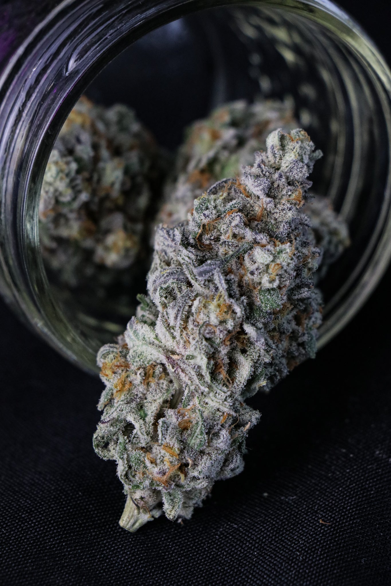 Frost Cannabis Wet Cherry