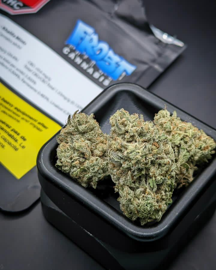 Frost Cannabis Rotating Strain