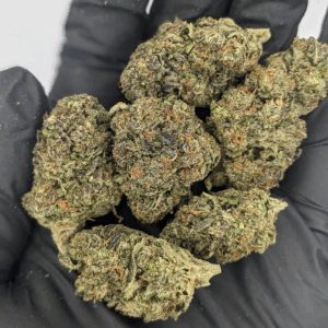 Wholesale CBD Flower BULK GREENHOUSE THCA FLOWER