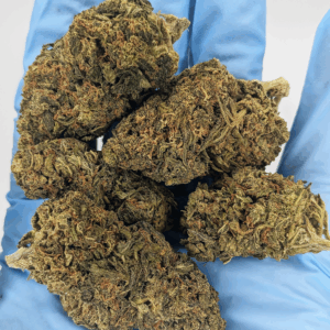 Wholesale CBD Flower BULK THCA FLOWER LBS – New Strain!