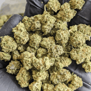 Wholesale CBD Flower BULK GREENHOUSE THCA FLOWER SMALLS