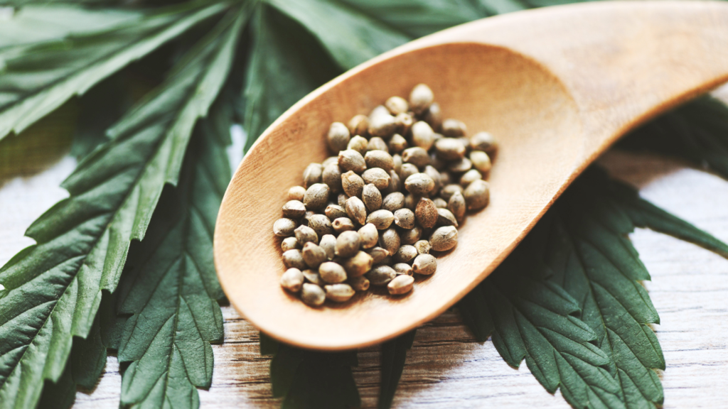 Symponia Farms Cannabis Flower