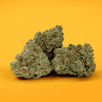 Revolution Cannabis, LLC (Delavan) Flower