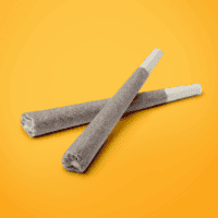 Revolution Cannabis, LLC (Delavan) Pre-Rolls