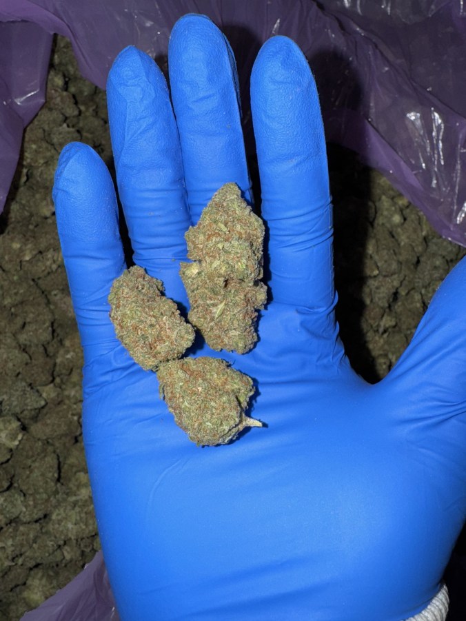 Wheelhouse Cannabis Co. Wheelhouse Buds - Lilac Cookies (19.8% - 24.3%)