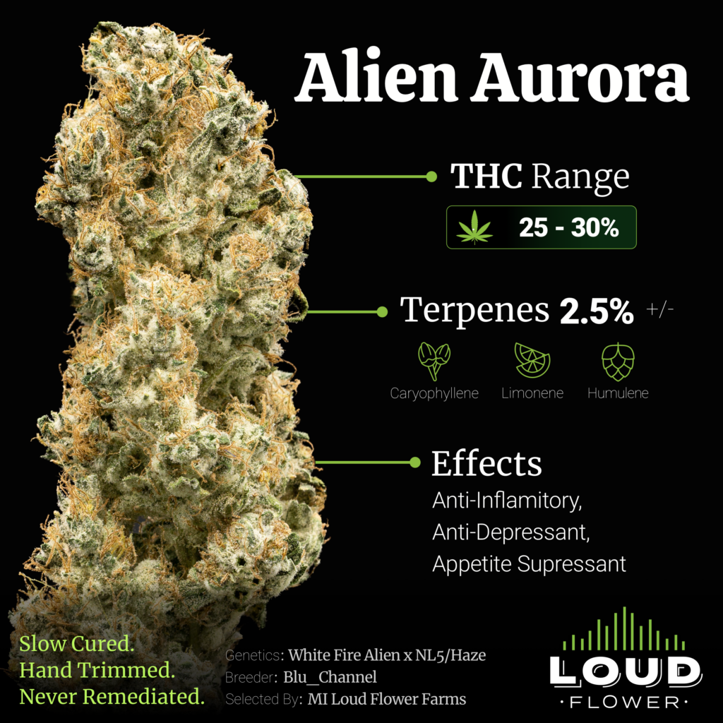 Michigan Loud Flower Farms Alien Aurora