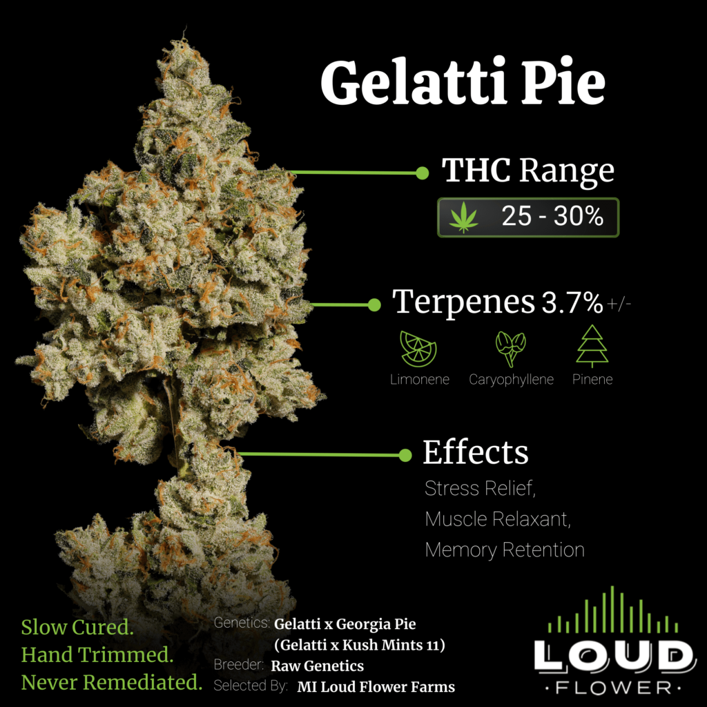 MI Loud Flower Farms Gelatti Pie