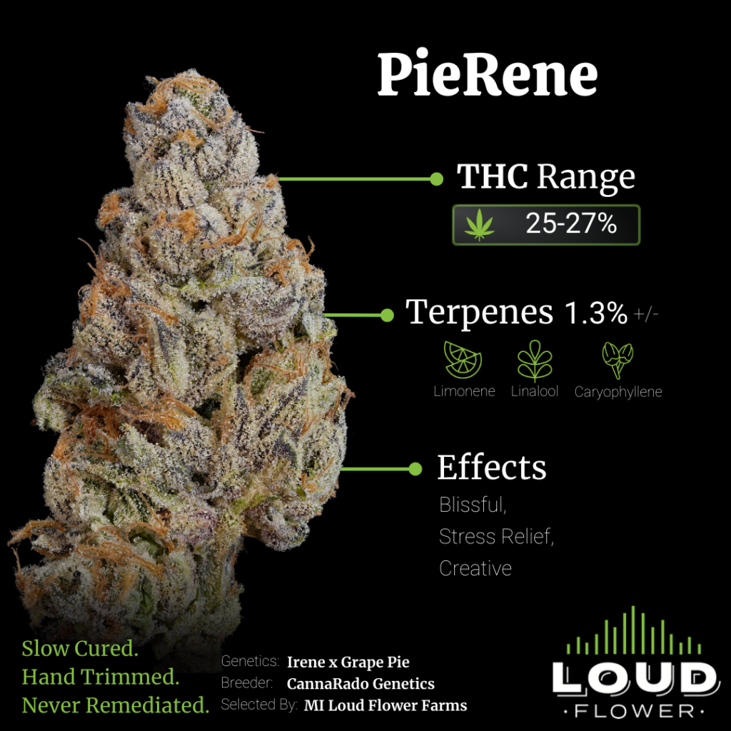 MI Loud Flower Farms Pierene
